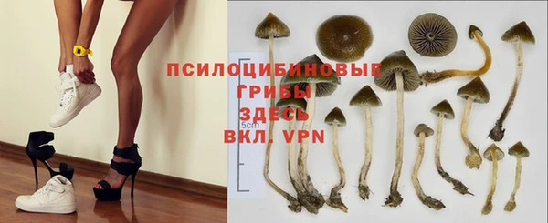 ПСИЛОЦИБИНОВЫЕ ГРИБЫ Аркадак