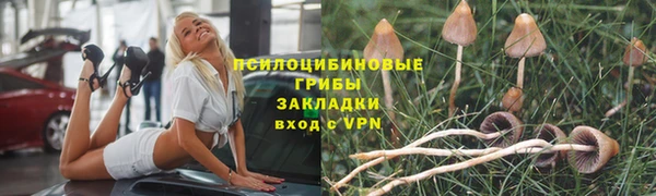 бошки Армянск