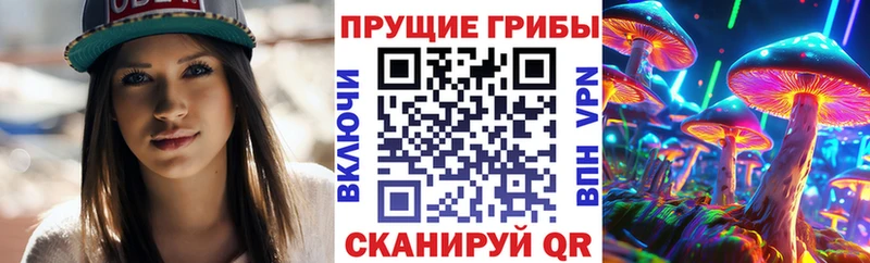 цена наркотик  гидра ссылки  Галлюциногенные грибы Cubensis  Кыштым 